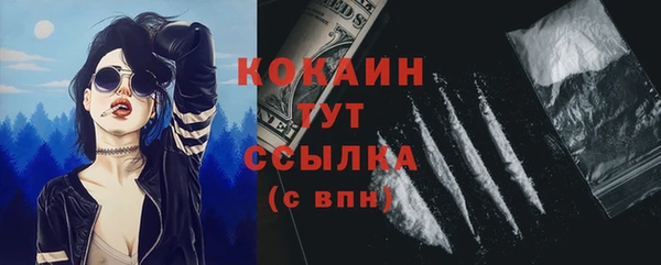 скорость Каменка