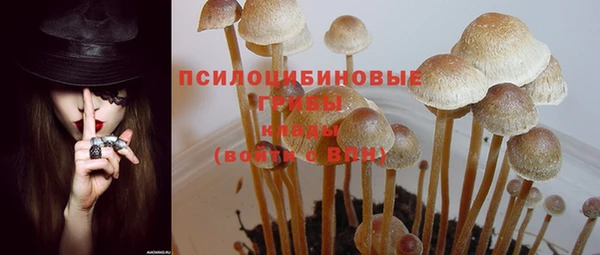 скорость Каменка