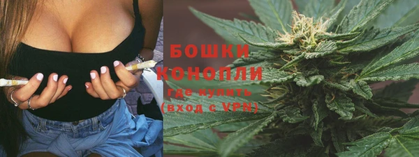 скорость Каменка