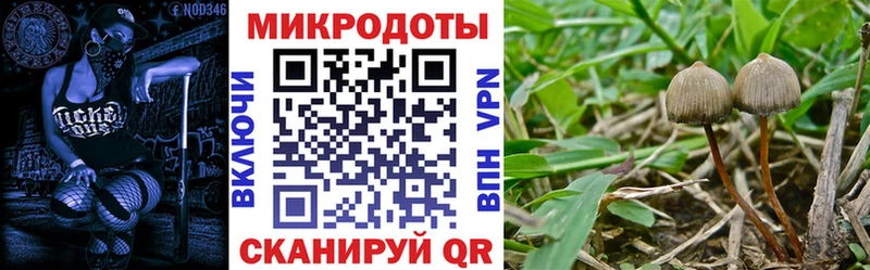 Купить где  Дыгулыбгей  Псилоцибиновые грибы Cubensis 
