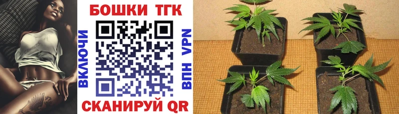 Бошки марихуана AK-47  Купить закладки  Дыгулыбгей 